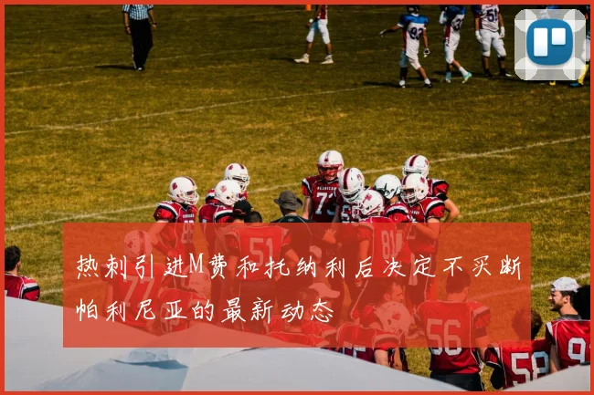 热刺引进M费和托纳利后决定不买断帕利尼亚的最新动态
